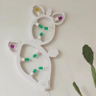 Fico d'india due pale